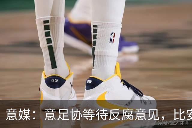 意媒：意足协等待反腐意见，比安凯迪任命待定